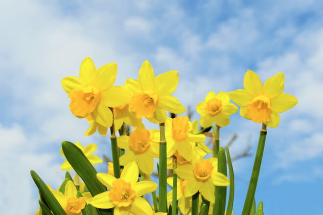 Osterferien vom 14.04. - 25.04.2025.  Am Mittwoch, den 23.04.25 ist die Bibliothek geöffnet. Bitte vereinbaren sie einen Termin per E-Mail (karen.kittel@elkw.de).